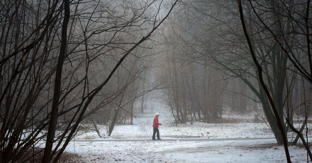 Personne marchant sur un chemin enneigé entre des arbres dénudés.
