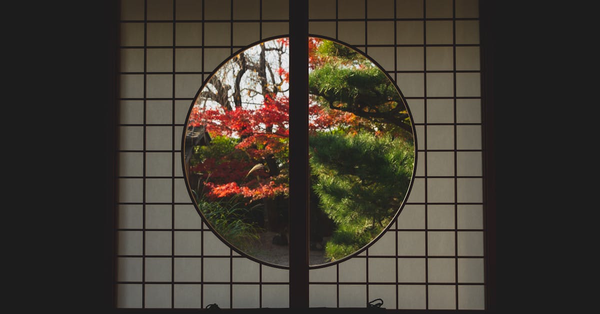 Fenêtre de style japonais avec vue sur des arbres en automne.